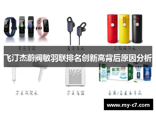 飞汀杰蔚阀敏羽联排名创新高背后原因分析 飞汀杰蔚阀敏羽联排名创新高背后原因分析